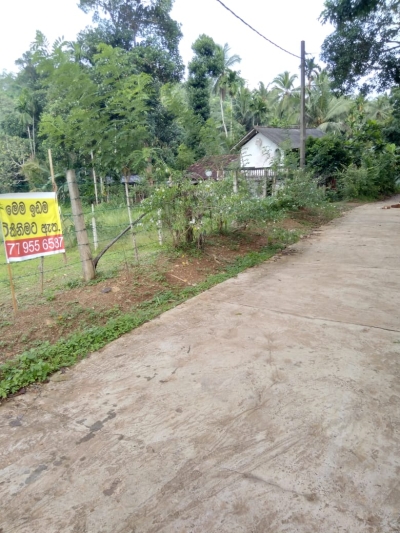 Land for sale